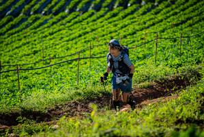 BIB: 
                            <button type="button" onclick="openModal(19160438)" class="btn btn-primary btn-sm float-right btn-popup" data-toggle="modal" data-target=".modal-high-quality">
                        <i class="fas fa-shopping-cart"></i> Add to Cart
                    </button>
                                            <button type="button" onclick="isThisMe(19160438, true)" class="btn btn-success btn-sm float-right btn-popup btn-isme hidden" data-toggle="tooltip" data-placement="bottom" title="นี่คือรูปของคุณใช่ไหม คลิกที่นี่เพื่อเอาเข้าอัลบั้ม">
                        <i class="fas fa-plus"></i> Add to album
                    </button>
                    <button type="button" onclick="isThisMe(19160438, false)" class="btn btn-warning btn-sm float-right btn-popup btn-isnotme hidden">
                        <i class="fas fa-ban"></i> Remove from album
                    </button>